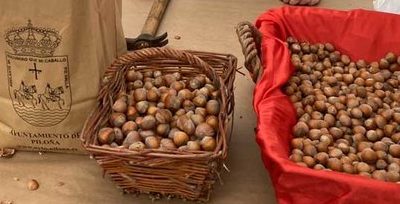 Ambiente nel Festival de l’Ablana de L’Infiestu