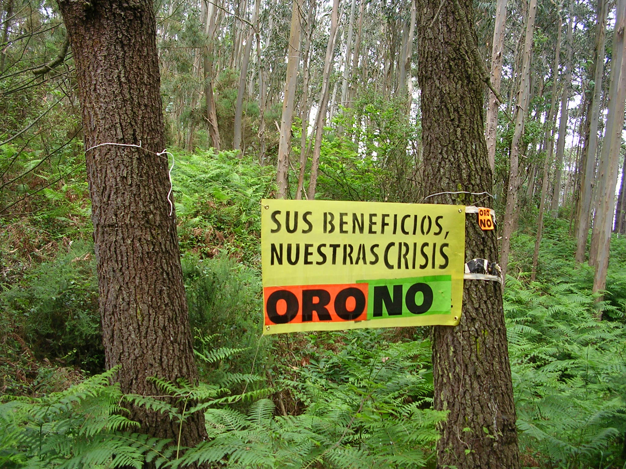 Cartelu contra la mina d’oru nun monte de Salave