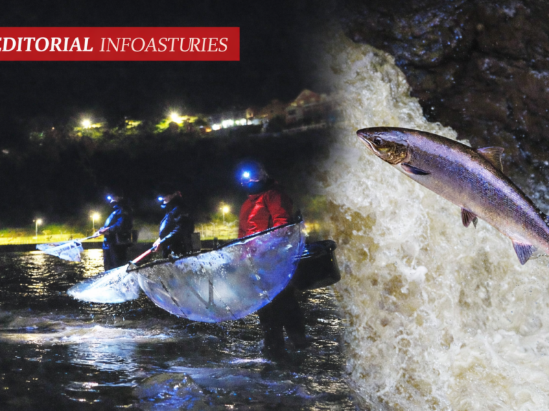 Pesca nocturna d’angula nun ríu d’Asturies y salmón atlánticu saltando una presa, exemplu del conflictu ente pesca autorizada y protección ambiental