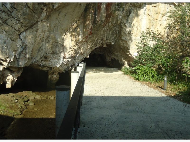 Entrada de la Cueva de Tito Bustillo, en Ribeseya.