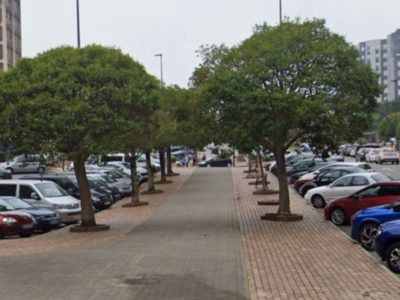 Árboles na avenida de San Agustín d’Avilés antes del baltu