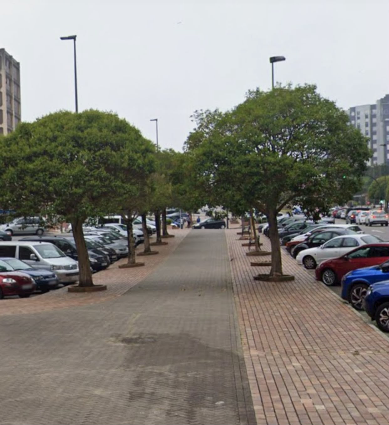 Árboles na avenida de San Agustín d’Avilés antes del baltu