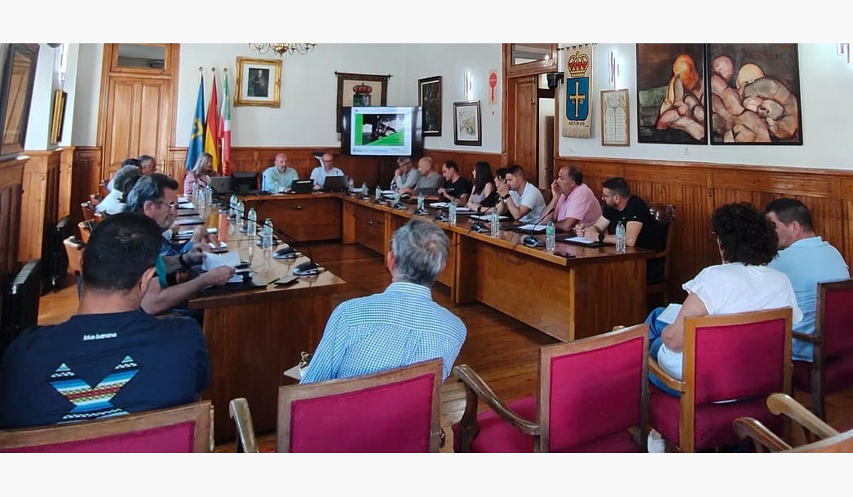 Reunión del comité asesor de la avispa asiática n’Asturies.