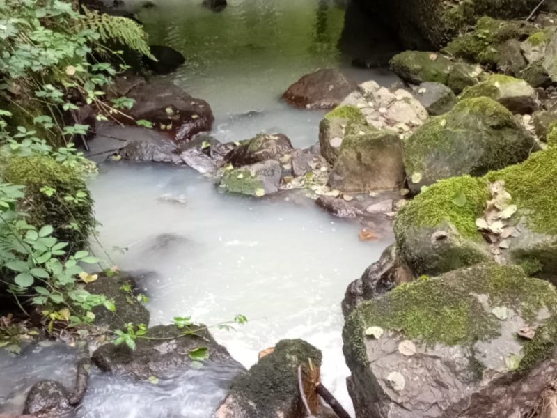 Agua blanquecina nel calce del ríu Nonaya, ente piedres y vexetación.