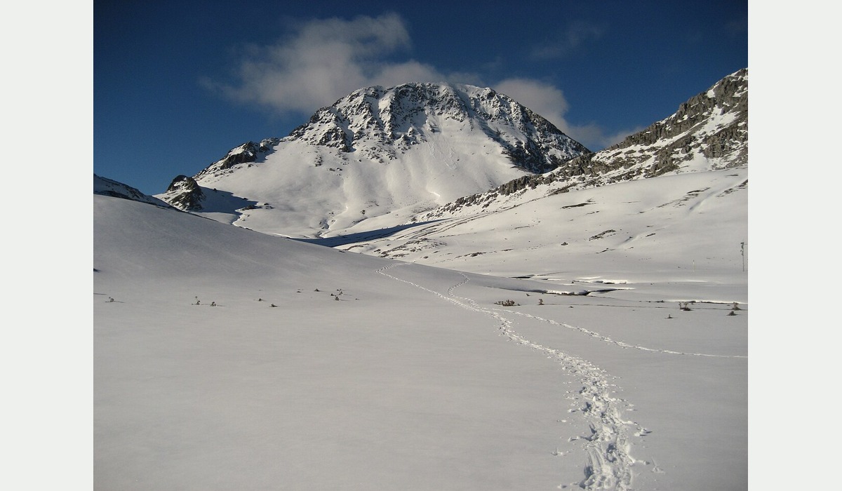 Peña Ubiña vista dende’l valle de Riotuerto; semeya del macizu.