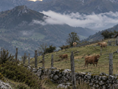 Montañes caliares ente nubes y praos de la cordalera cantábrica nuna illustración de paisaxe