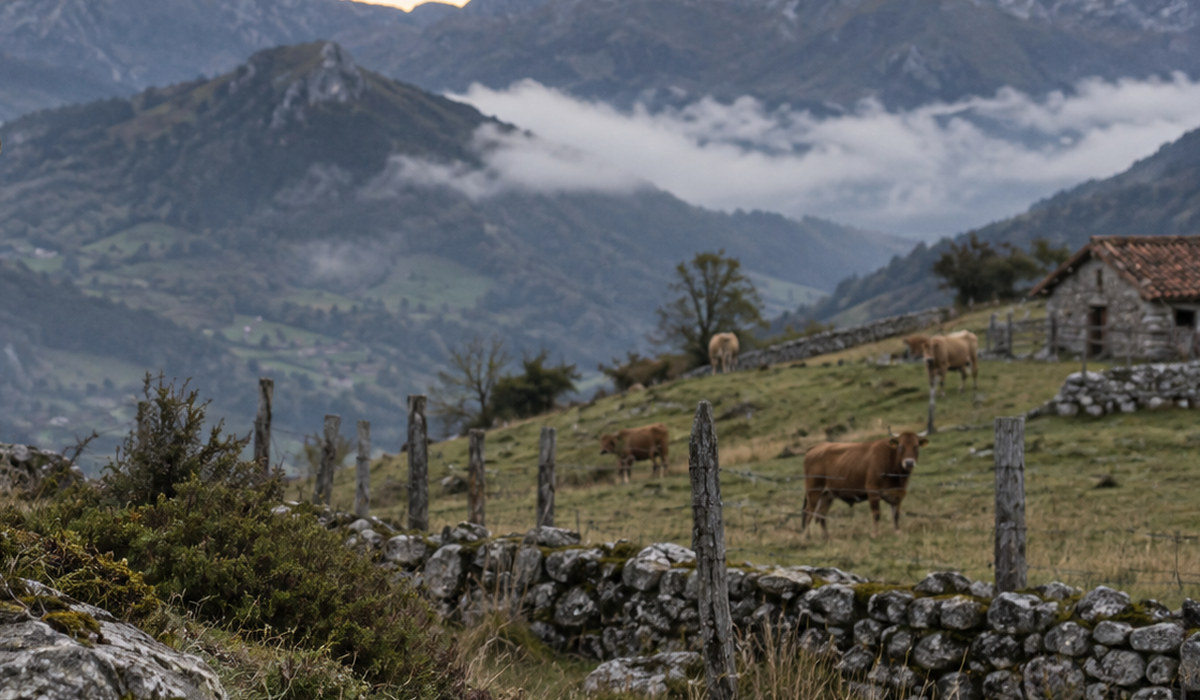Montañes caliares ente nubes y praos de la cordalera cantábrica nuna illustración de paisaxe